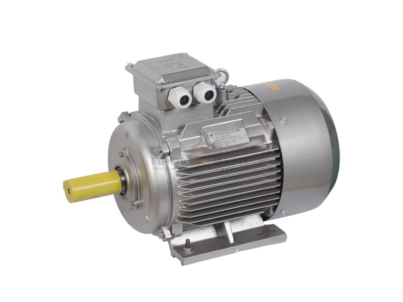 Электродвигатель асинхронный 3ф. АИР 160M4 660В 18,5кВт 1500об/мин (лапы) 1081 DRIVE IEK